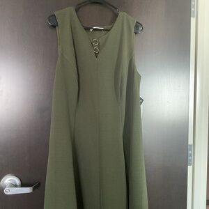 NWT Sandra Darren loden geeen dress